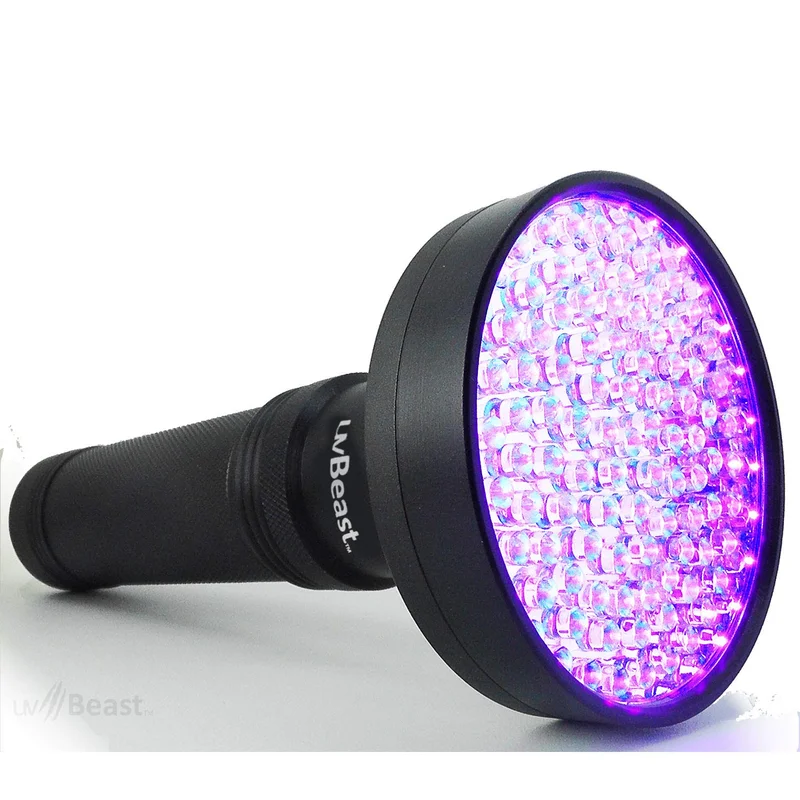 lightsdaddy823337