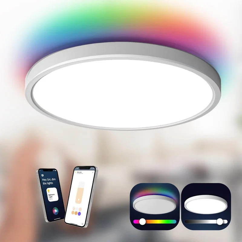 lightsdaddy823795
