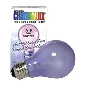 lightsdaddy824519