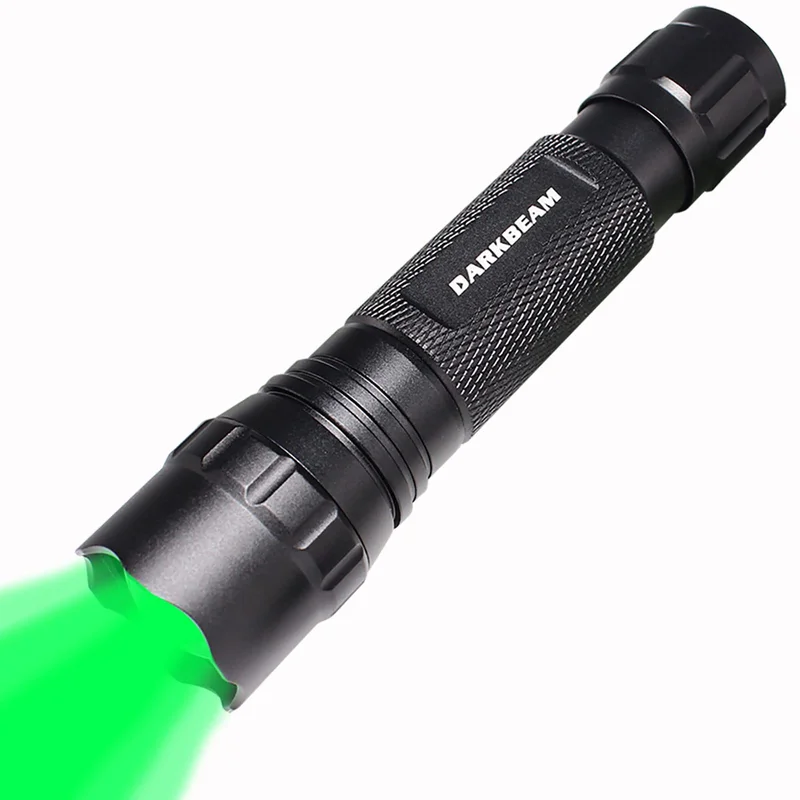lightsdaddy824807