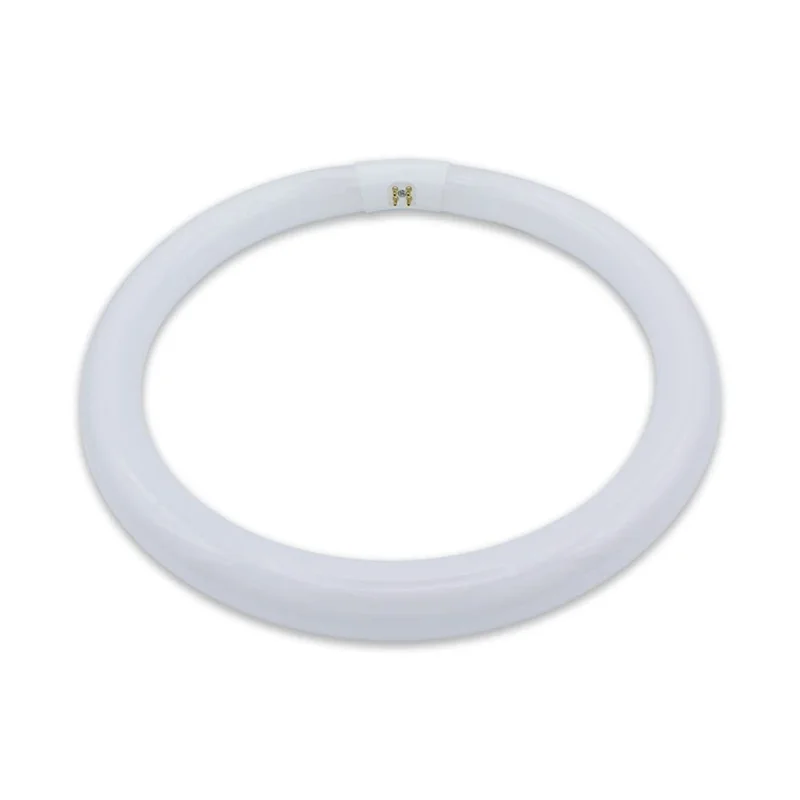 lightsdaddy825021