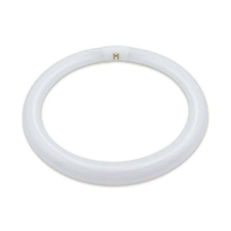 lightsdaddy825028