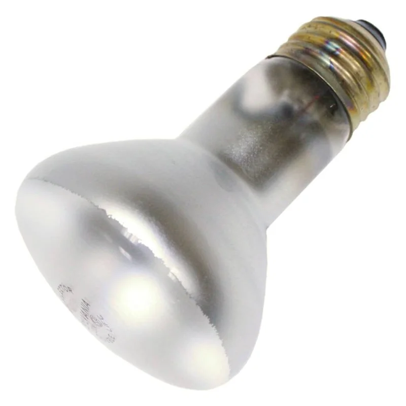 lightsdaddy825842