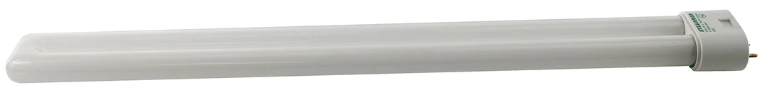 lightsdaddy826010