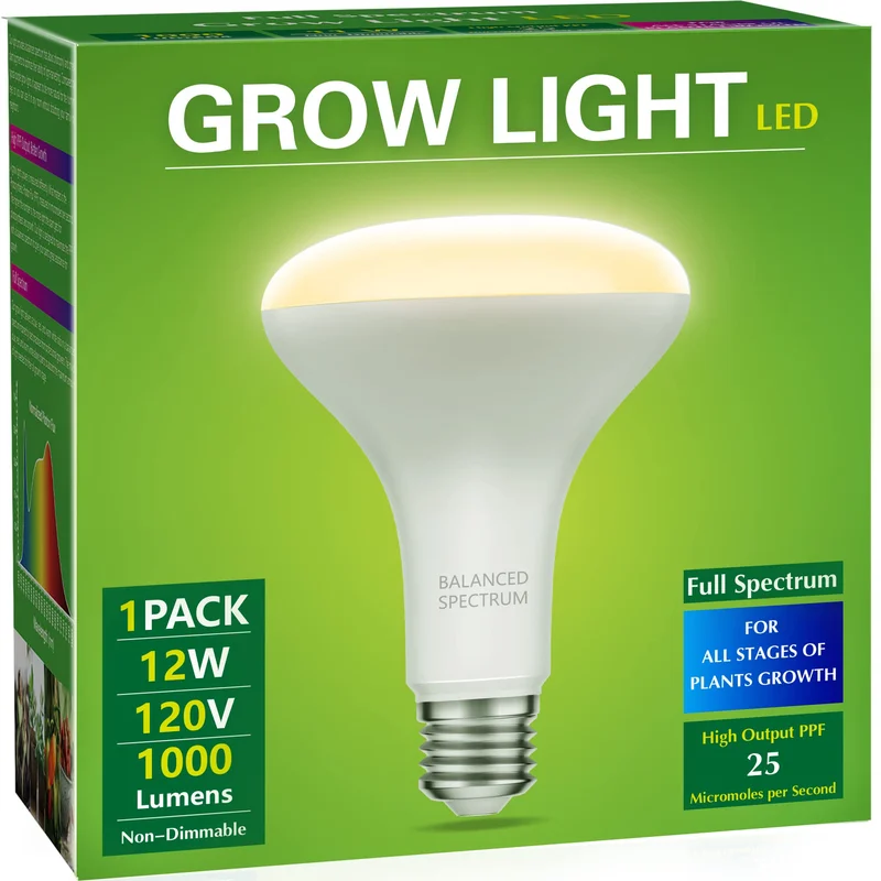 lightsdaddy826196