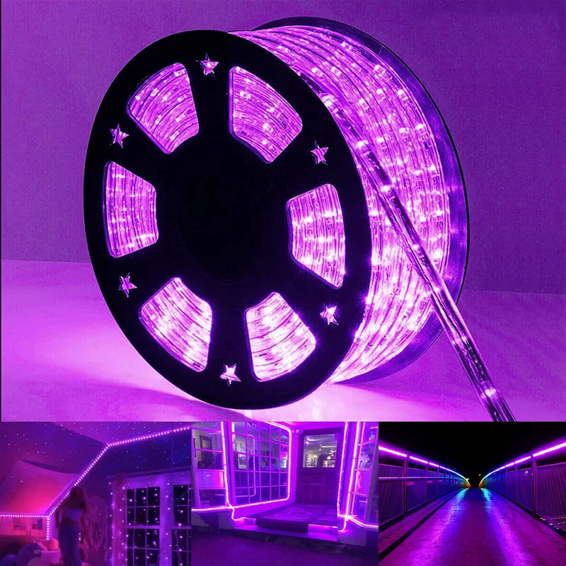 lightsdaddy826437