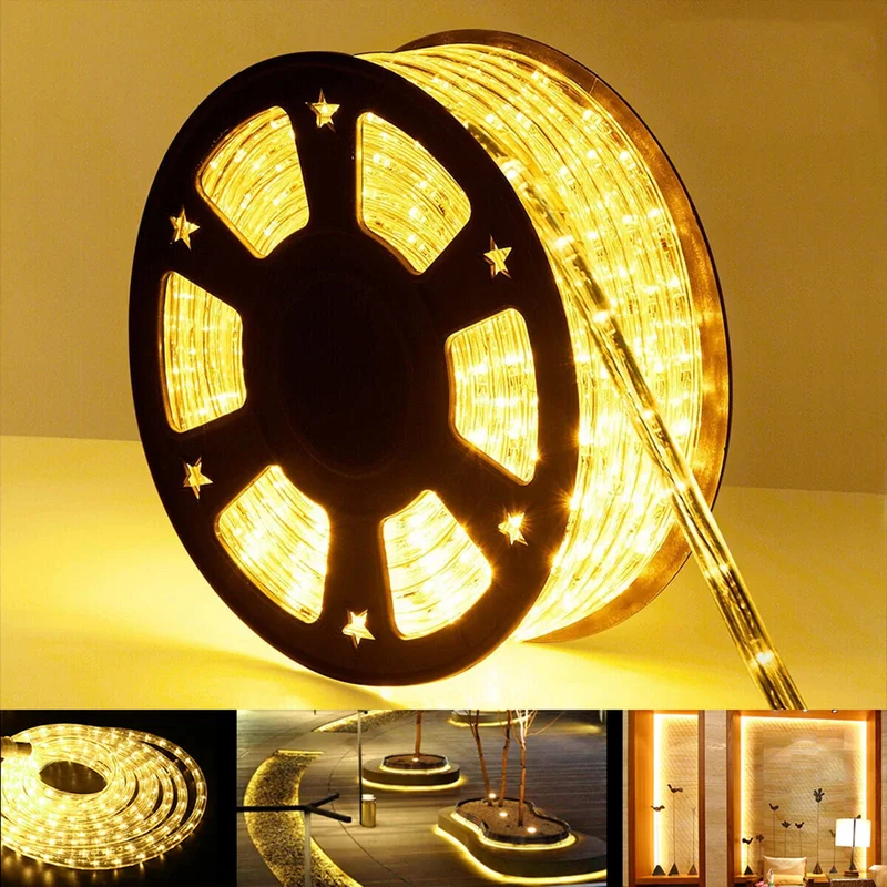 lightsdaddy826553