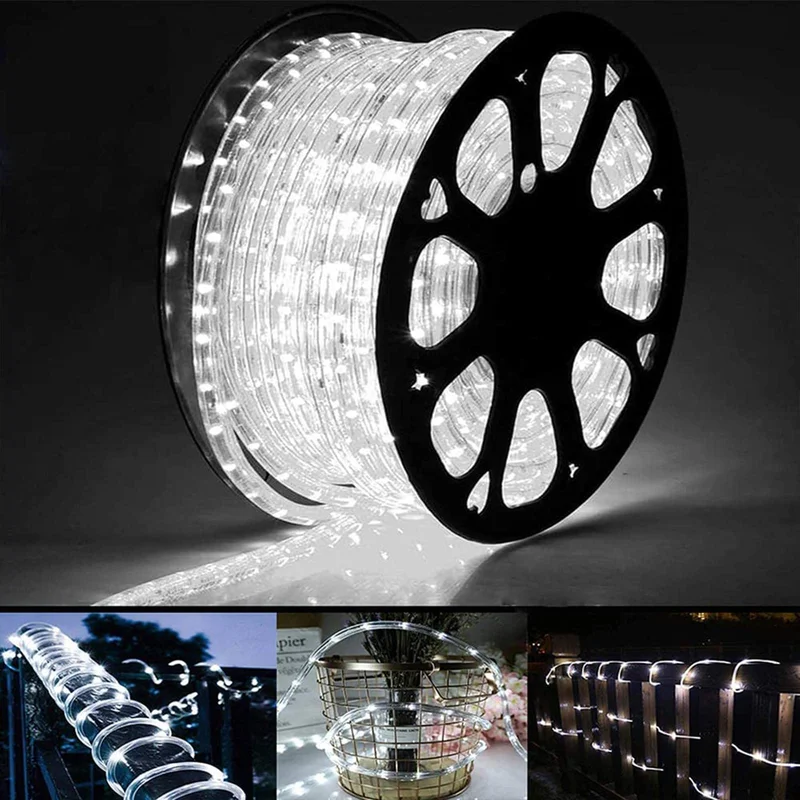 lightsdaddy826556