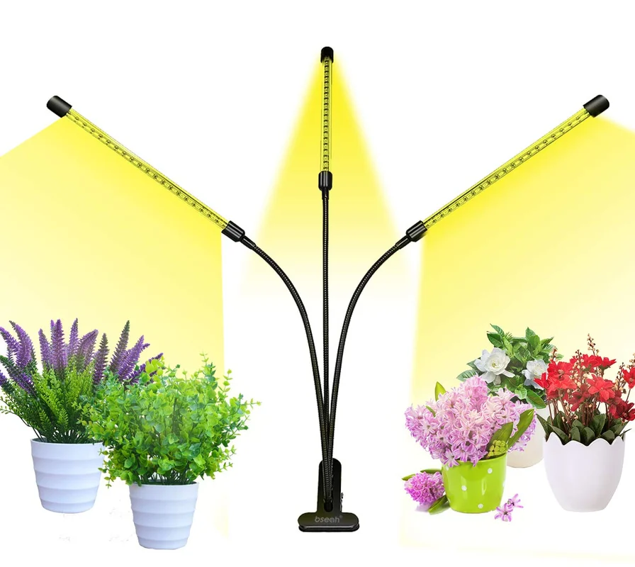 lightsdaddy826800