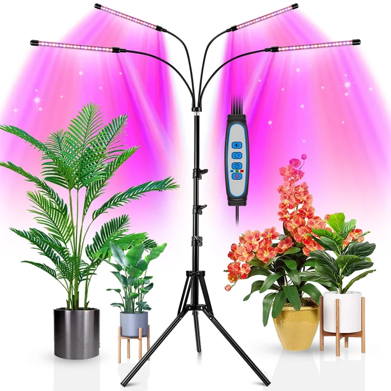lightsdaddy828041