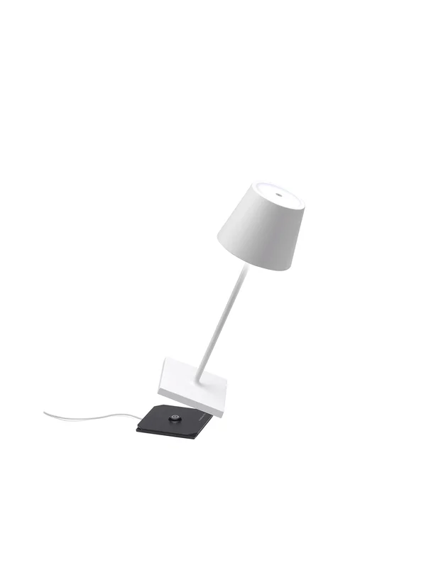 lightsdaddy828087