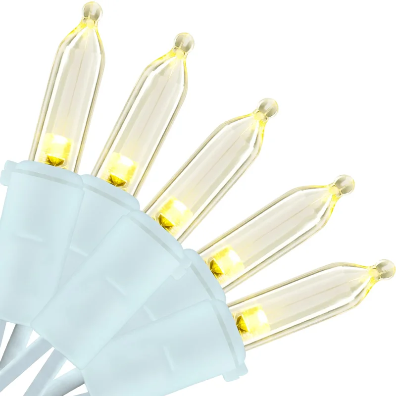 lightsdaddy831613