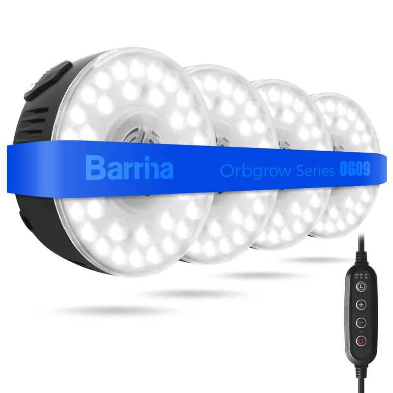 lightsdaddy836285