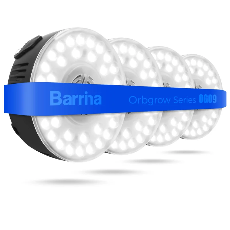 lightsdaddy836298