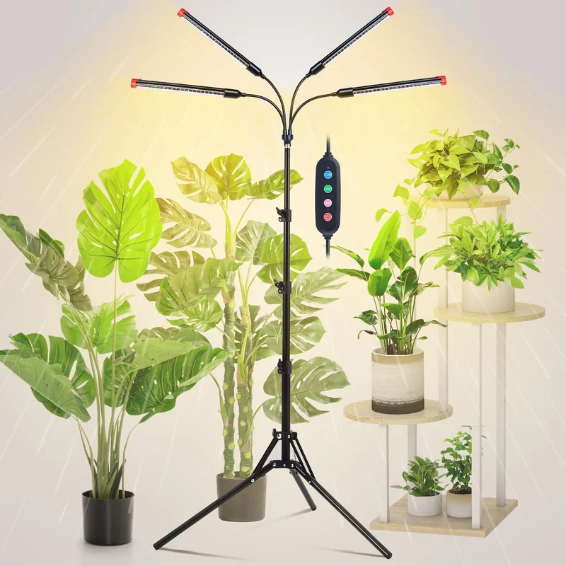 lightsdaddy840729