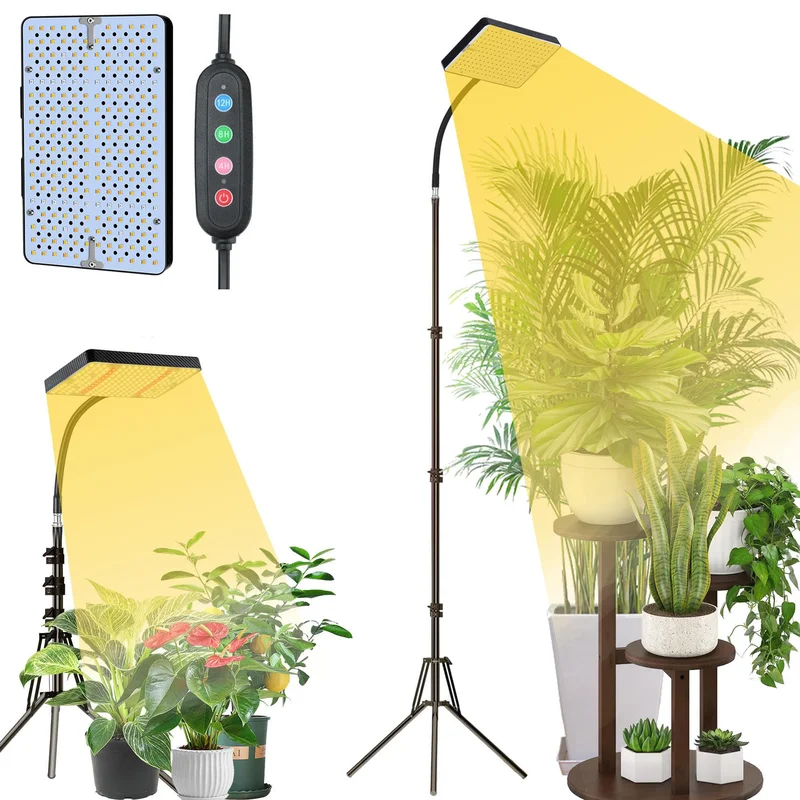 lightsdaddy840809