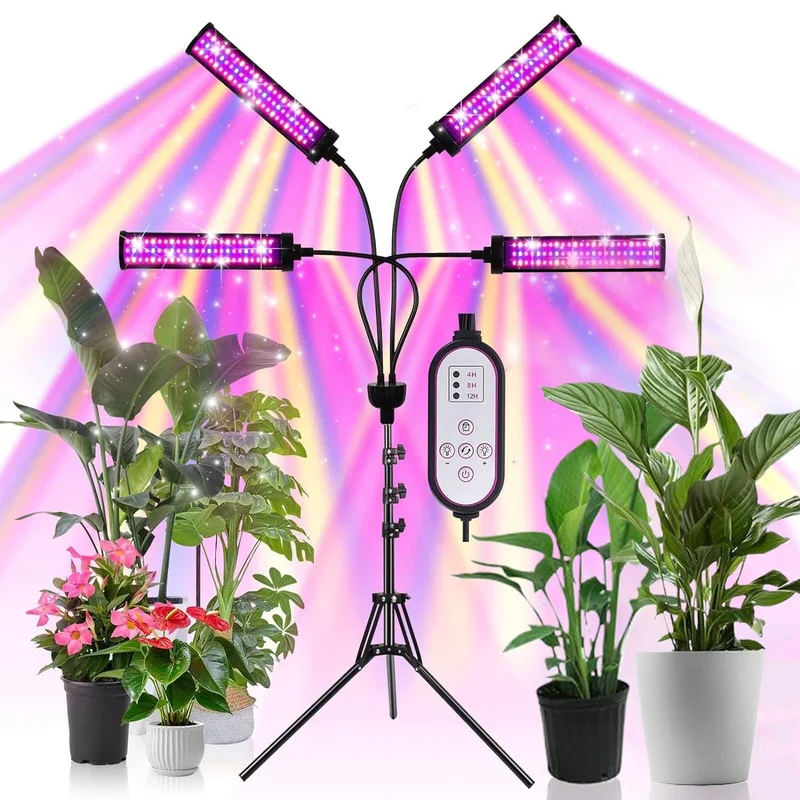 lightsdaddy840836
