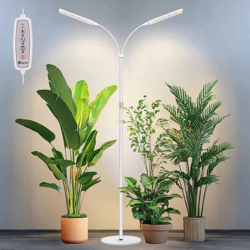 lightsdaddy840941