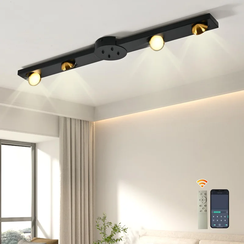 lightsdaddy845179