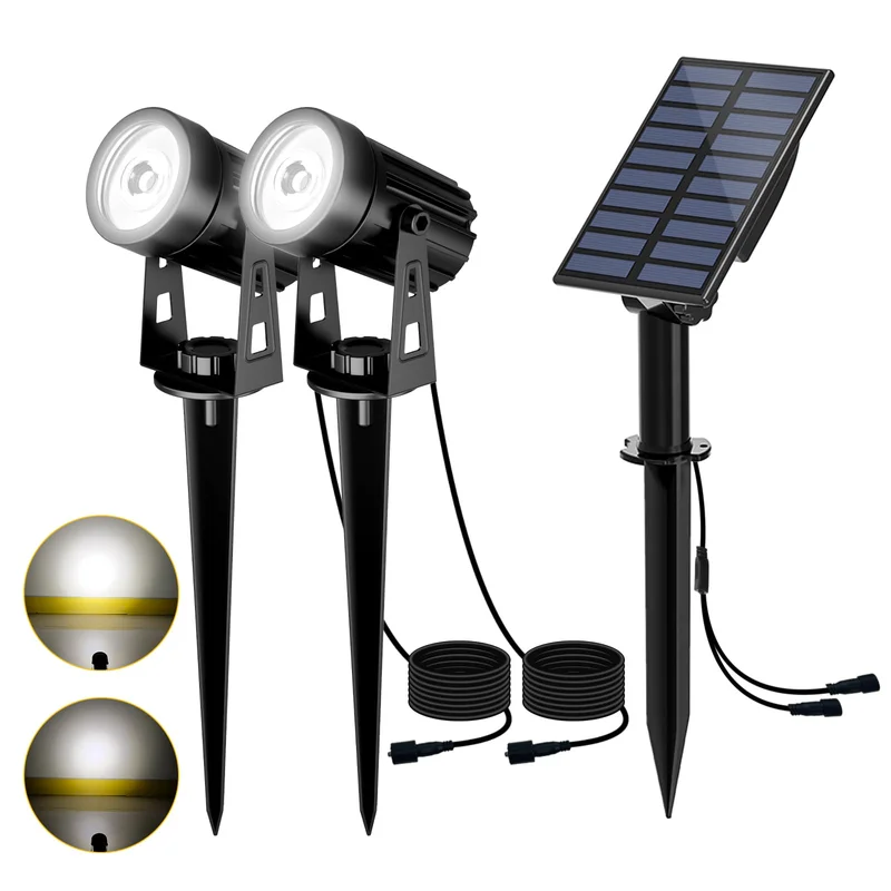 lightsdaddy845829