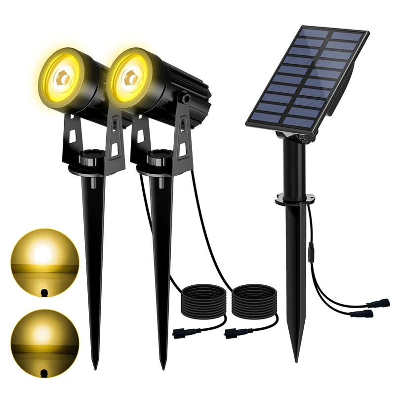 lightsdaddy848768