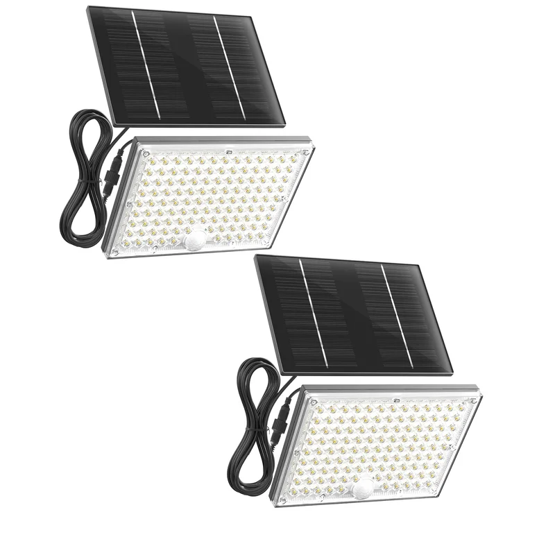 lightsdaddy849450