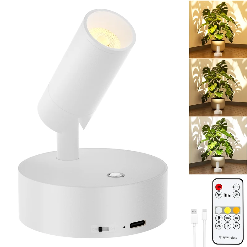 lightsdaddy858164