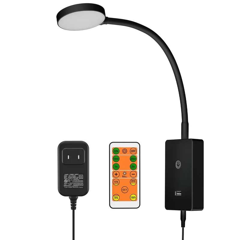 lightsdaddy858877
