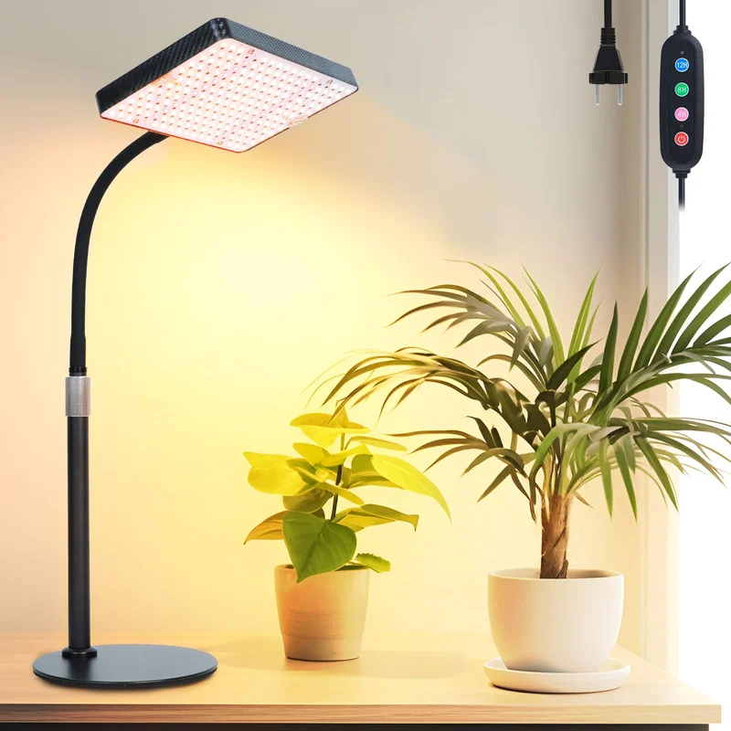 lightsdaddy861090