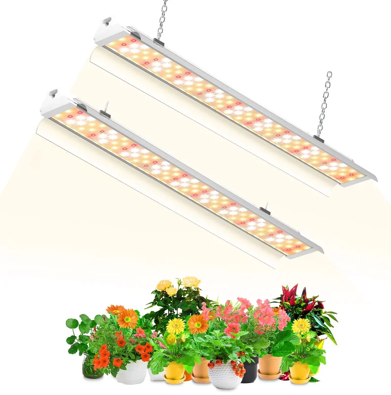 lightsdaddy861265