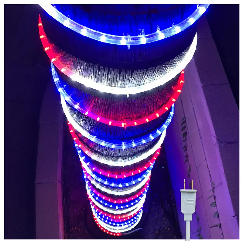 lightsdaddy863483