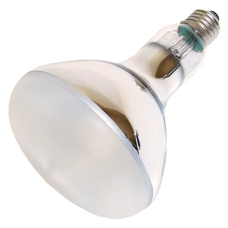 lightsdaddy865319
