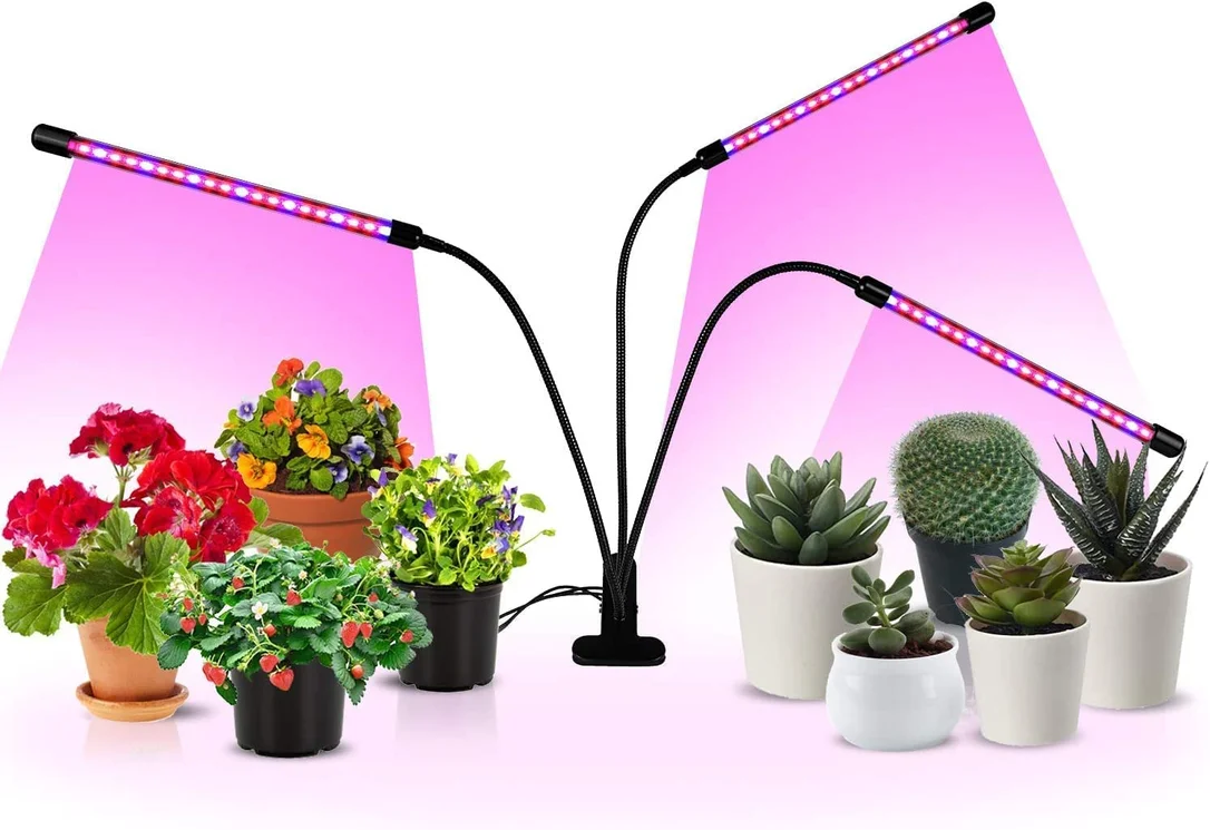 lightsdaddy865384