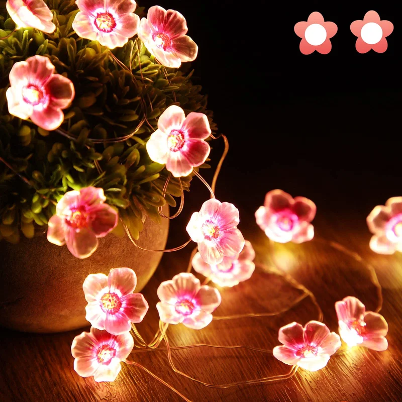 lightsdaddy865764
