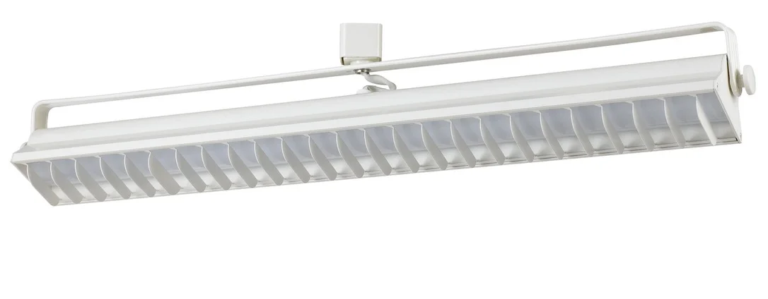 lightsdaddy865825