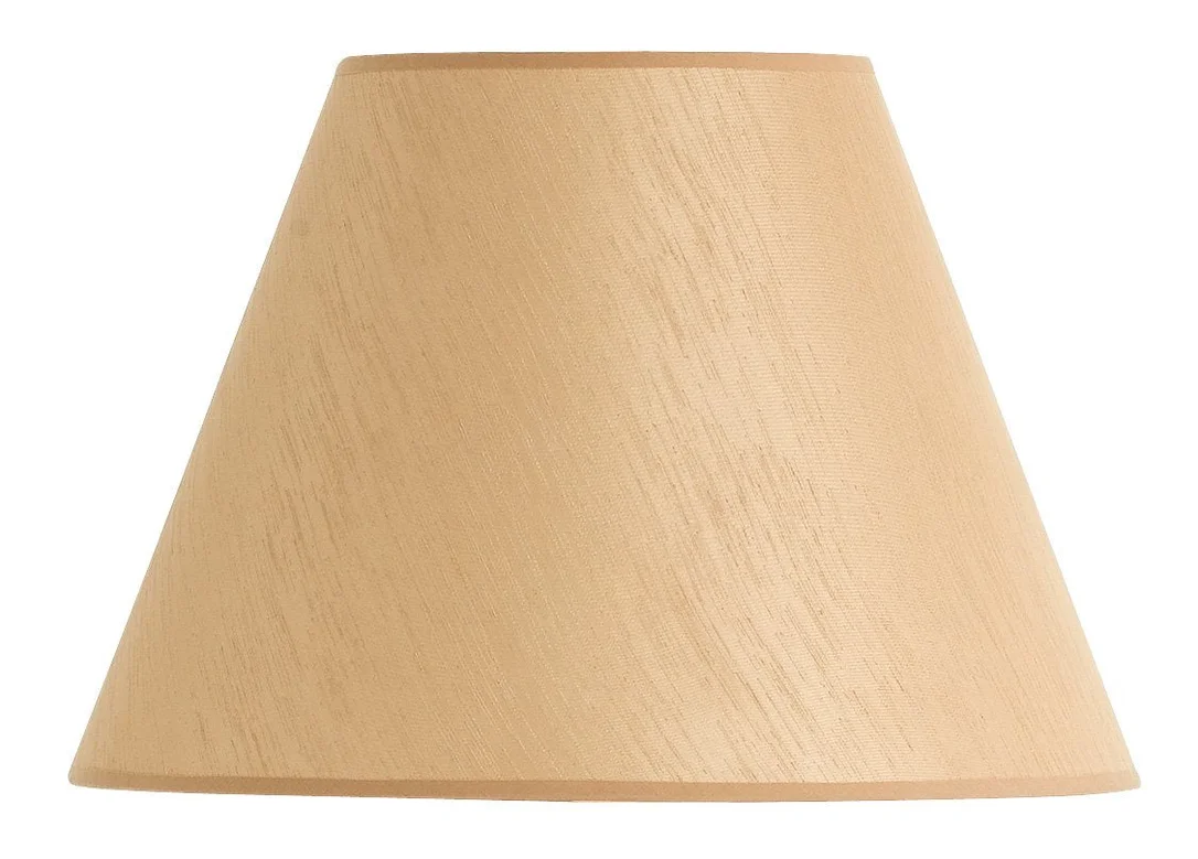lightsdaddy866631