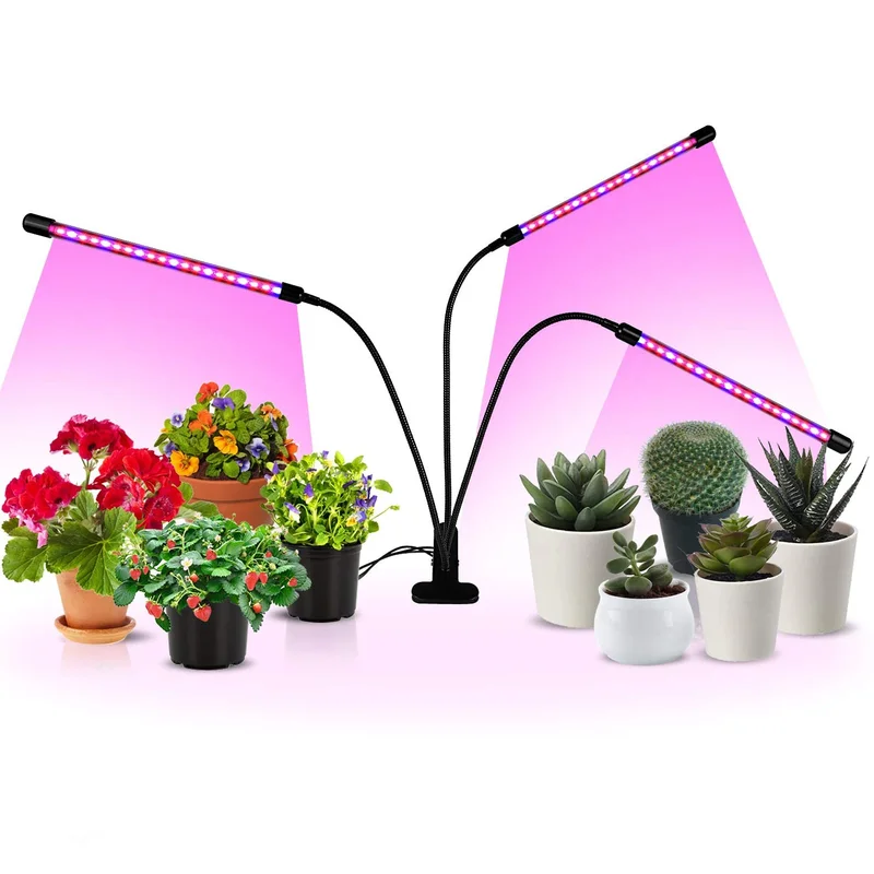 lightsdaddy867218
