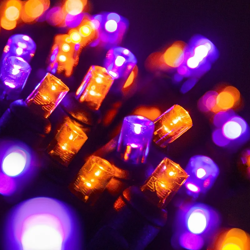 lightsdaddy867814