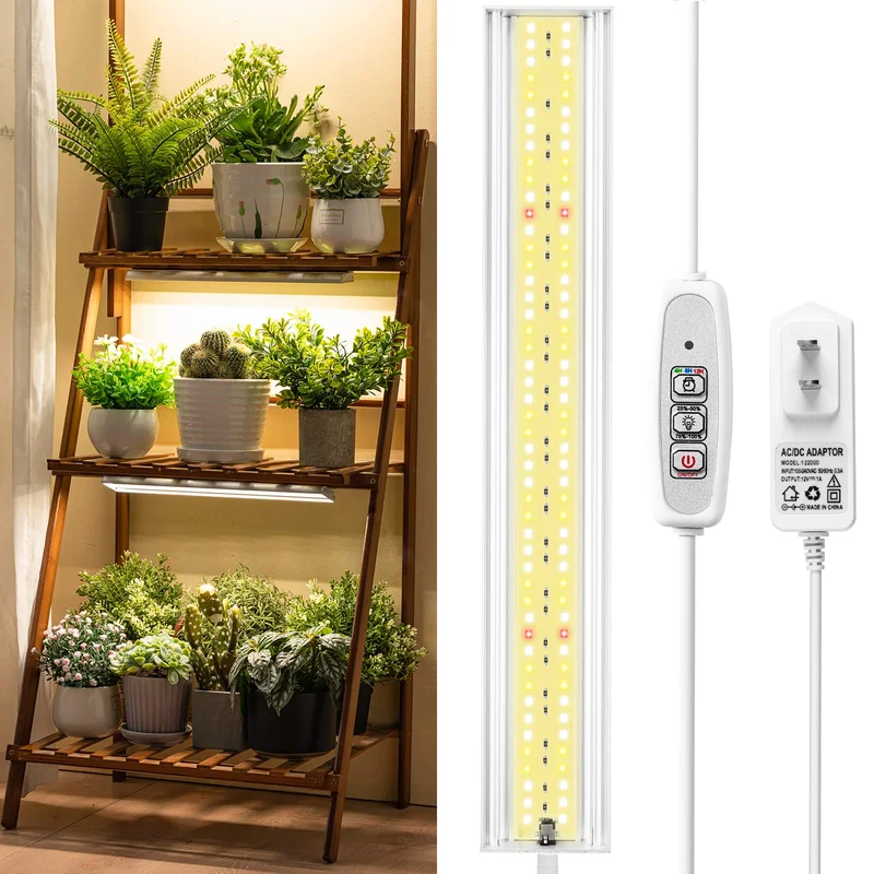 lightsdaddy869142
