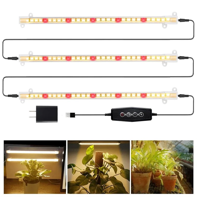 lightsdaddy869302