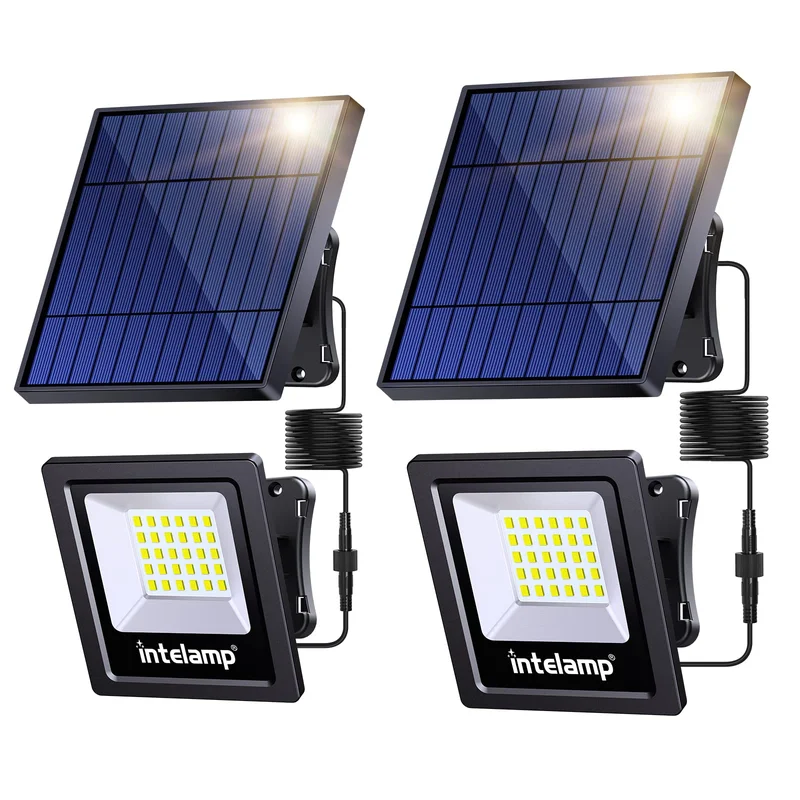 lightsdaddy869824