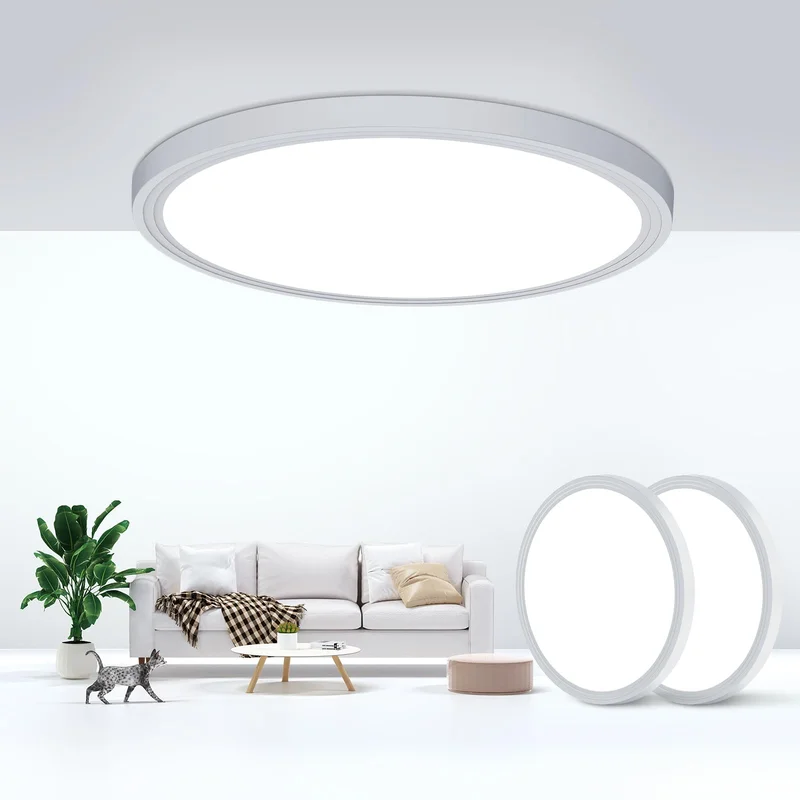 lightsdaddy876137