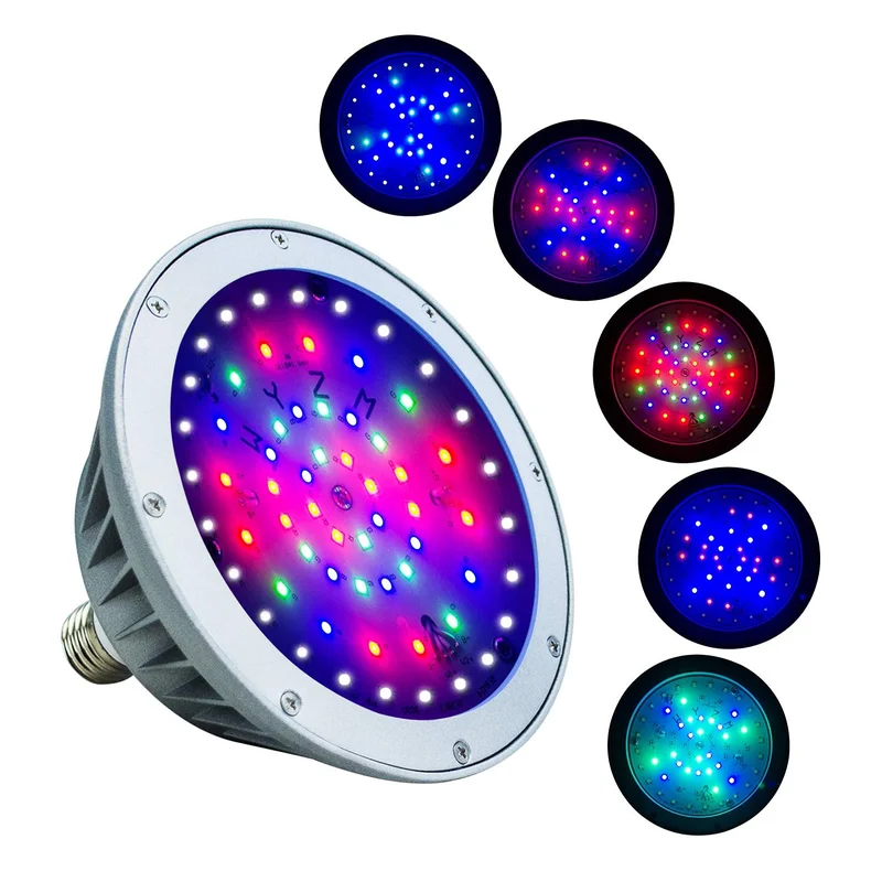 lightsdaddy880363