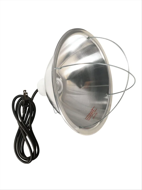 lightsdaddy880880