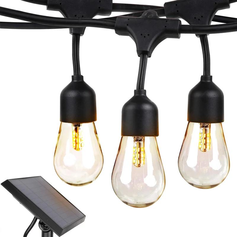 lightsdaddy885859
