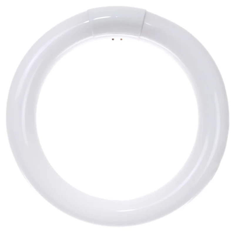 lightsdaddy890178