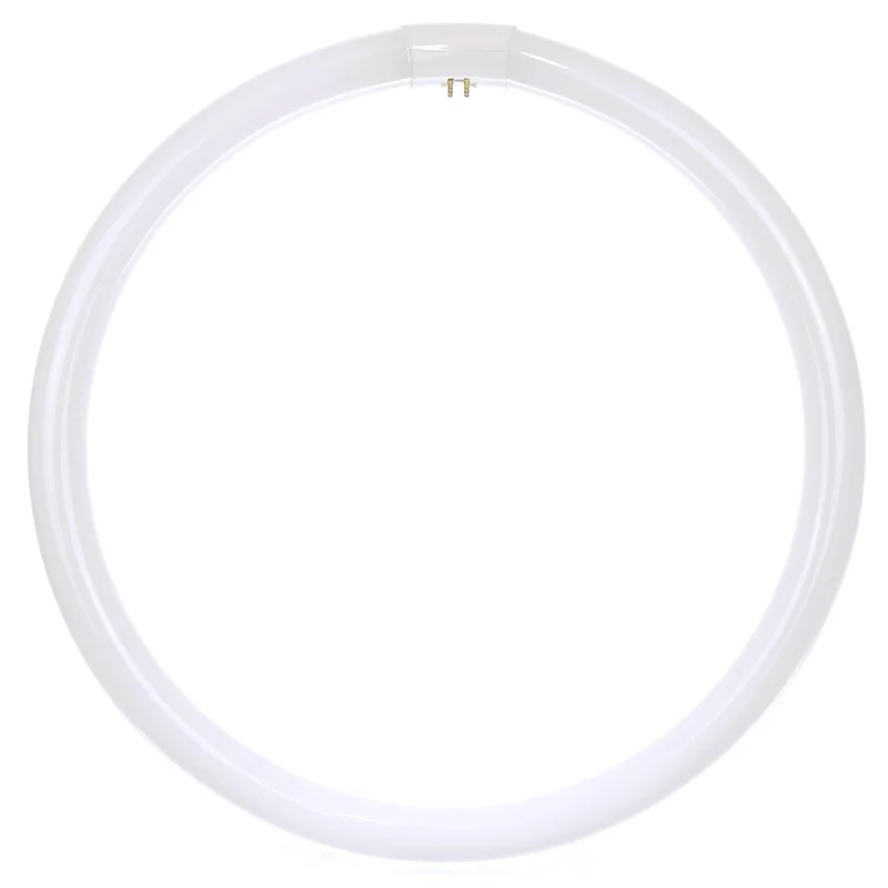 lightsdaddy890204