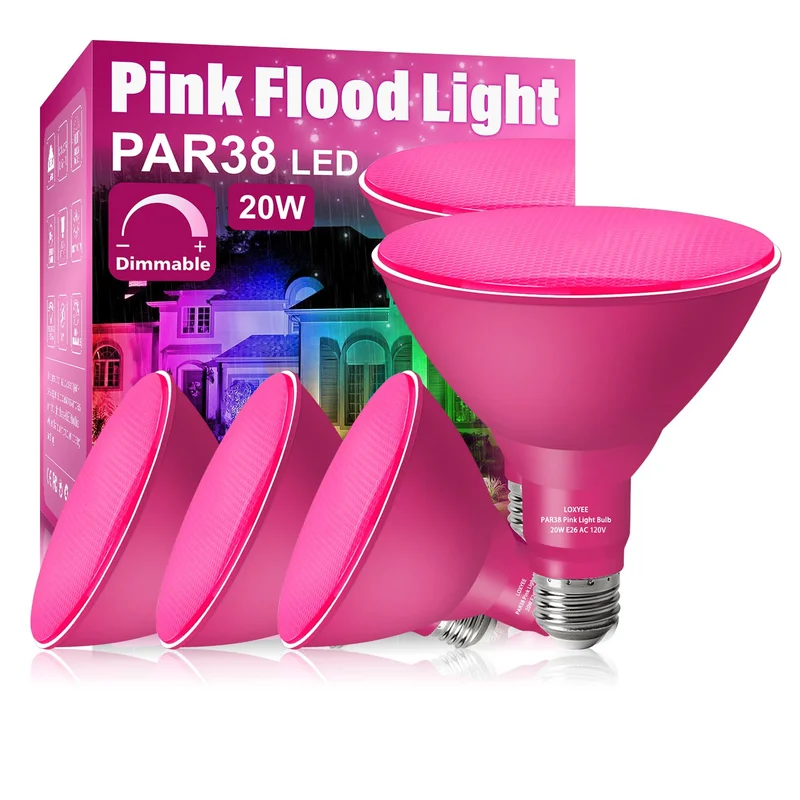 lightsdaddy892413