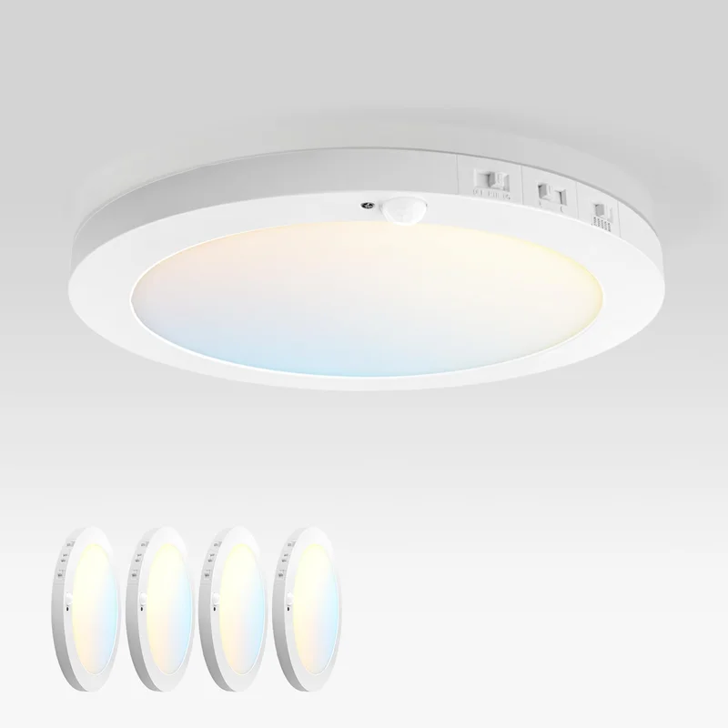 lightsdaddy895224
