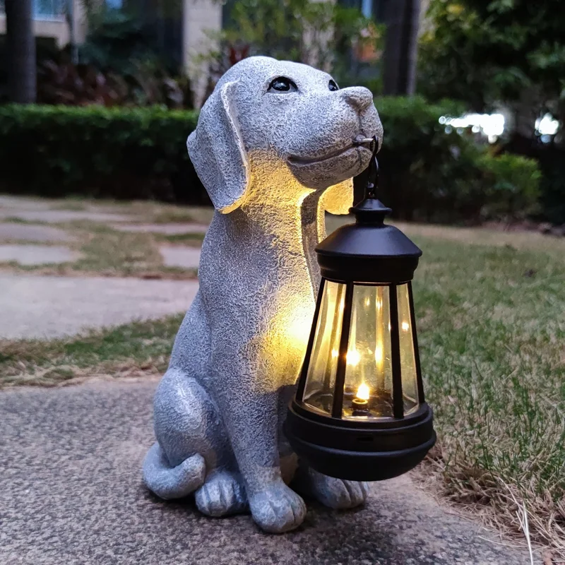 lightsdaddy898539